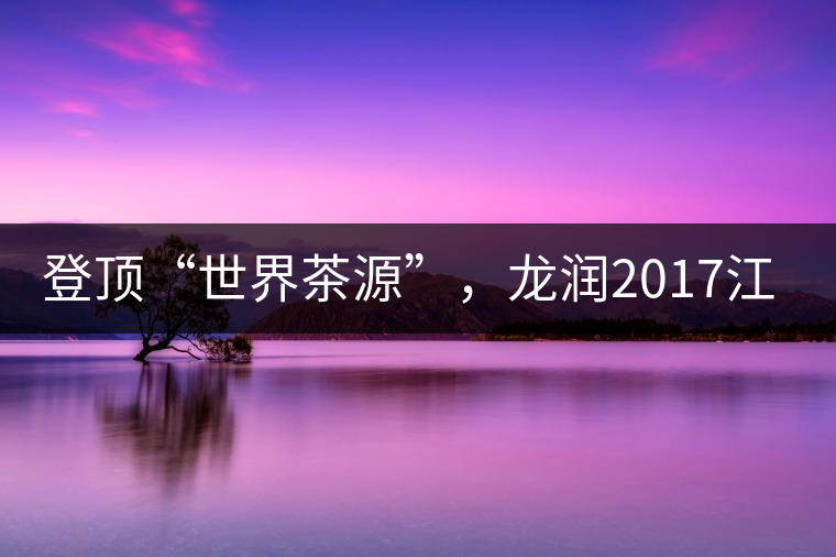 登頂“世界茶源”，龍潤(rùn)2017江城茶上市啦！