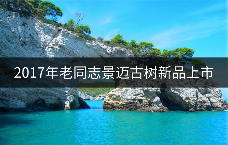 2017年老同志景邁古樹新品上市 2017年老同志景邁古樹新品上市