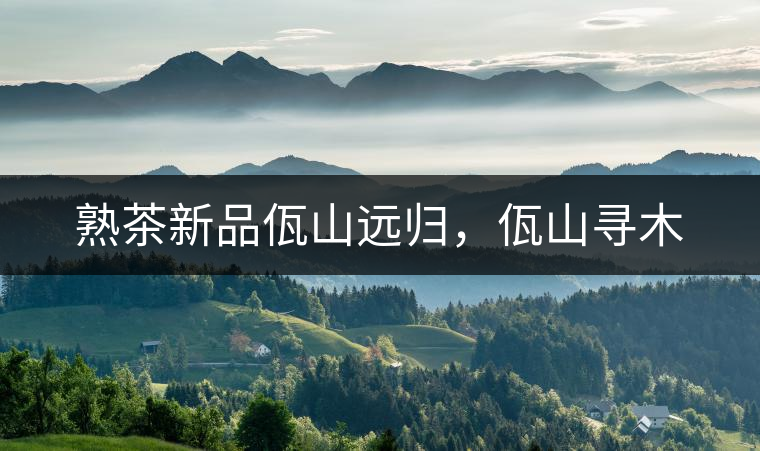 熟茶新品佤山遠(yuǎn)歸，佤山尋木