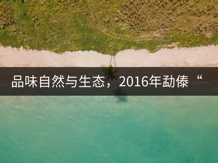 品味自然與生態(tài)，2016年勐傣“大雪山古樹茶”