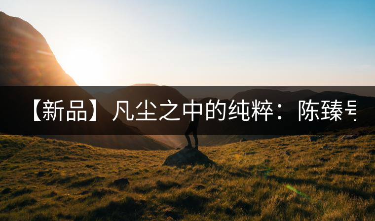 【新品】凡塵之中的純粹：陳臻號2016年精品青餅即將上市！