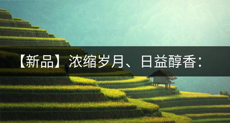 【新品】濃縮歲月、日益醇香：陳臻號陳品熟餅即將上市！