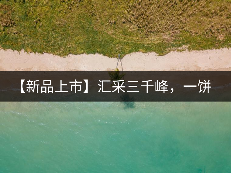 【新品上市】匯采三千峰，一餅群山鑄——群峰之峻！