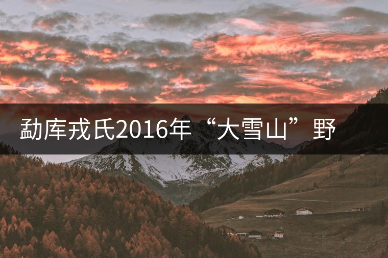 勐庫(kù)戎氏2016年“大雪山”野生茶清新問(wèn)世 勐庫(kù)戎氏2016年“大雪山”野生茶清新問(wèn)世