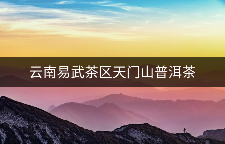 云南易武茶區(qū)天門山普洱茶 云南易武茶區(qū)天門山普洱茶