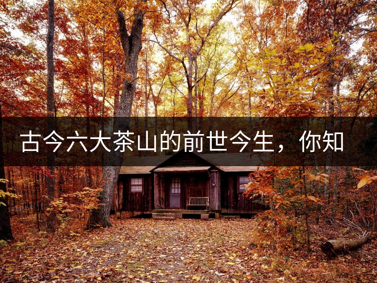 古今六大茶山的前世今生，你知多少？