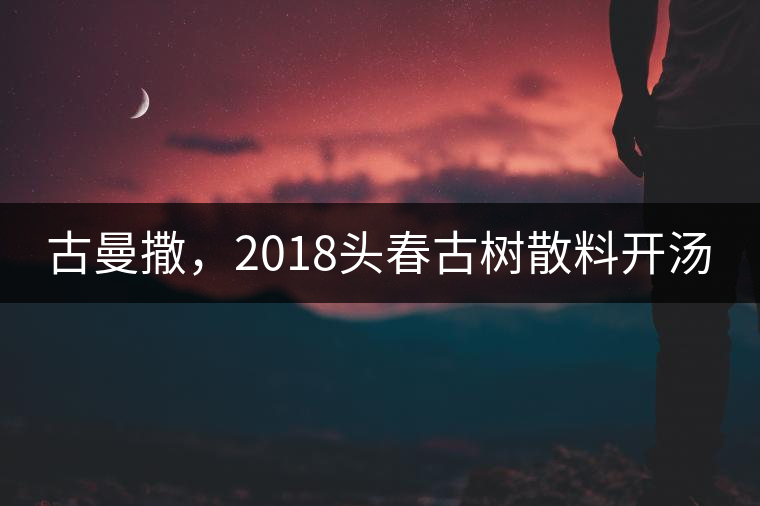 古曼撒，2018頭春古樹散料開湯