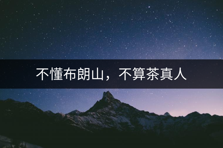 不懂布朗山，不算茶真人
