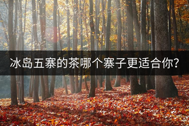 冰島五寨的茶哪個(gè)寨子更適合你？