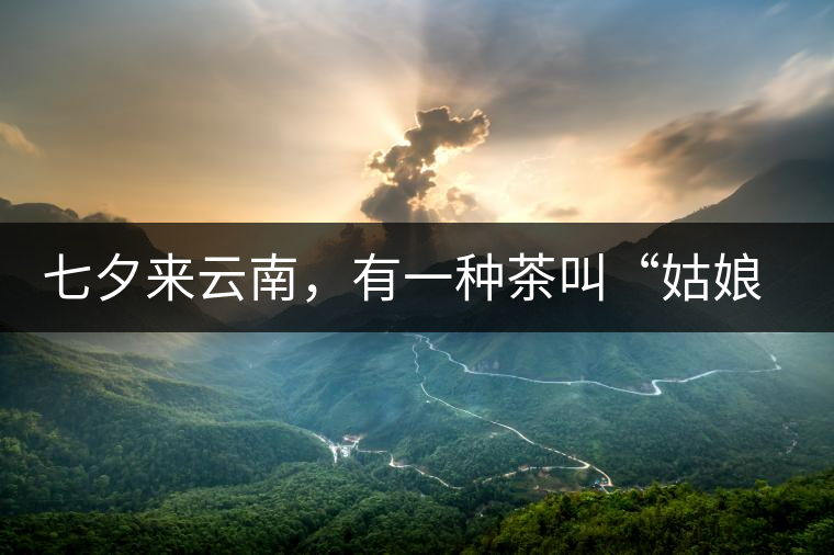 七夕來(lái)云南，有一種茶叫“姑娘茶”，也許你就能遇上