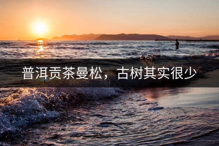 普洱貢茶曼松，古樹其實很少