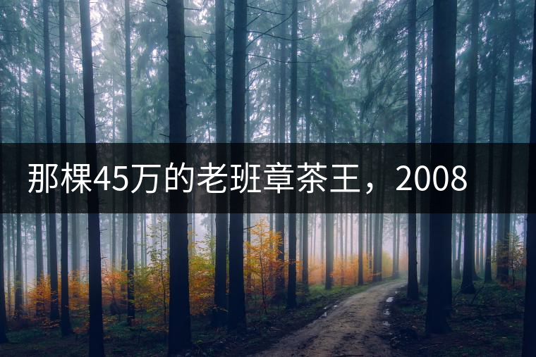那棵45萬的老班章茶王，2008年是什么樣子的？