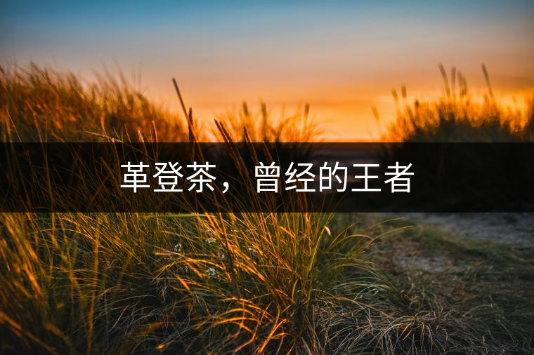 革登茶，曾經(jīng)的王者