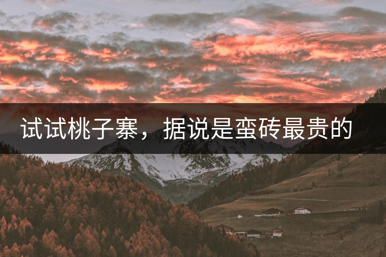 試試桃子寨，據(jù)說(shuō)是蠻磚最貴的茶