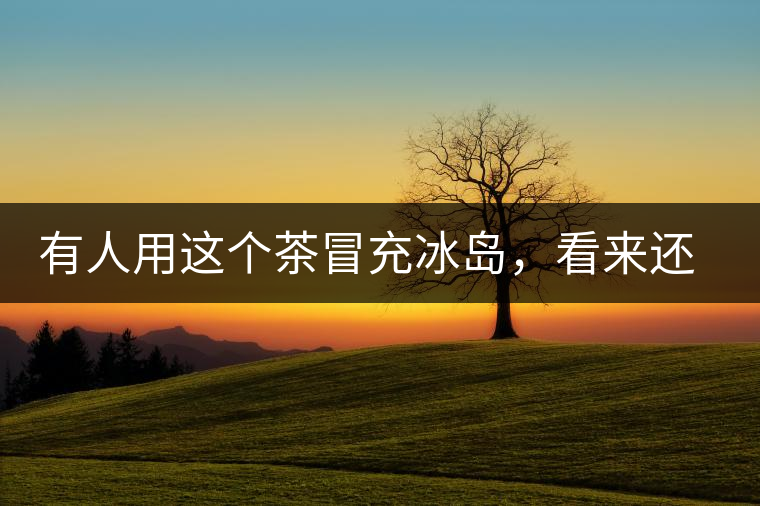 有人用這個茶冒充冰島，看來還是有幾分道理