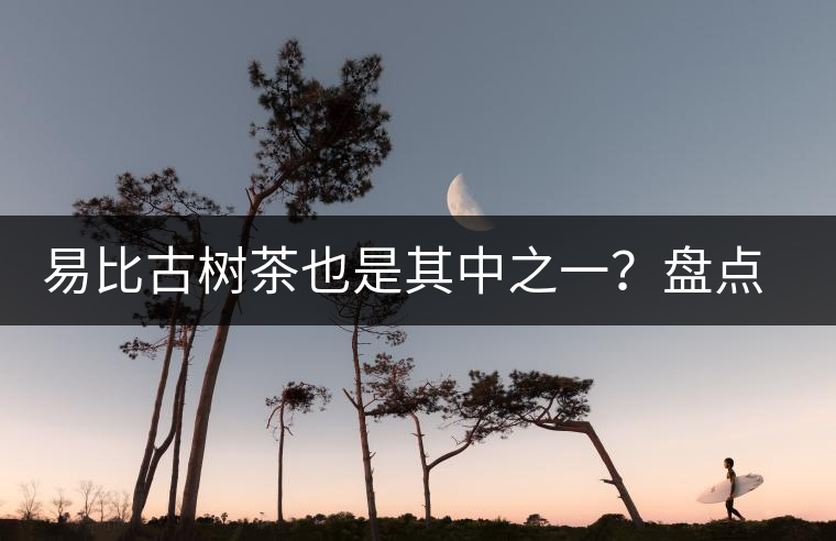 易比古樹茶也是其中之一？盤點(diǎn)當(dāng)下易武最火的十大古樹茶！