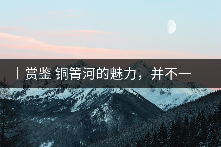 丨賞鑒 銅箐河的魅力，并不一定要古樹來體現(xiàn)
