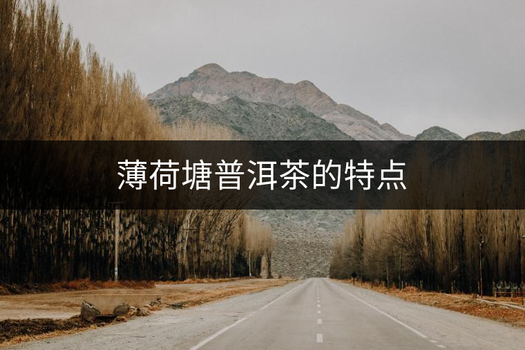 薄荷塘普洱茶的特點 薄荷塘普洱茶的特點