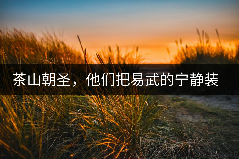 茶山朝圣，他們把易武的寧靜裝進心里，卻把成堆垃圾留在