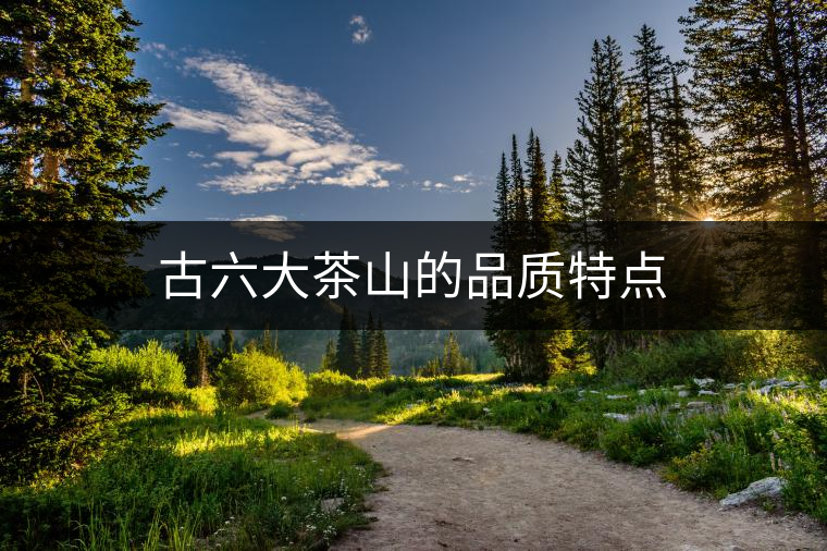 古六大茶山的品質(zhì)特點