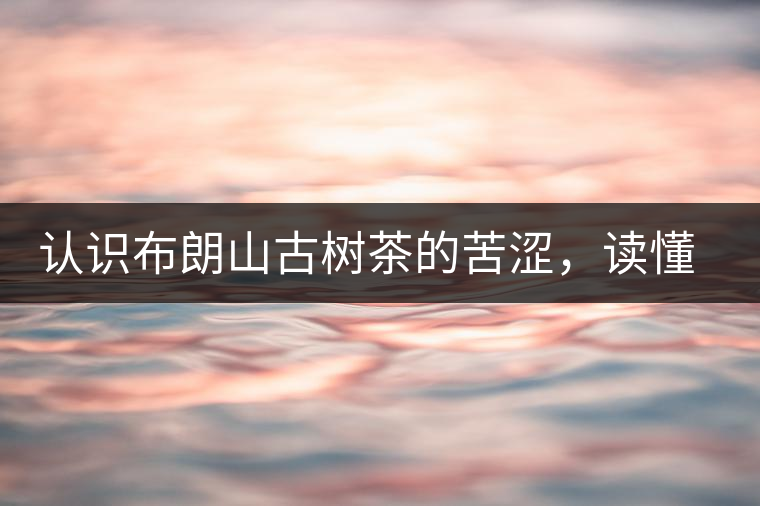 認(rèn)識布朗山古樹茶的苦澀，讀懂勐海普洱茶