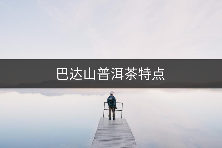 巴達(dá)山普洱茶特點 巴達(dá)山普洱茶特點