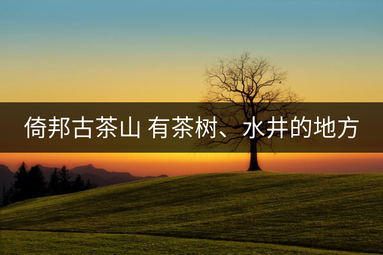 倚邦古茶山 有茶樹、水井的地方