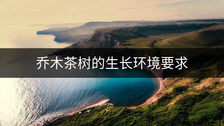 喬木茶樹的生長環(huán)境要求