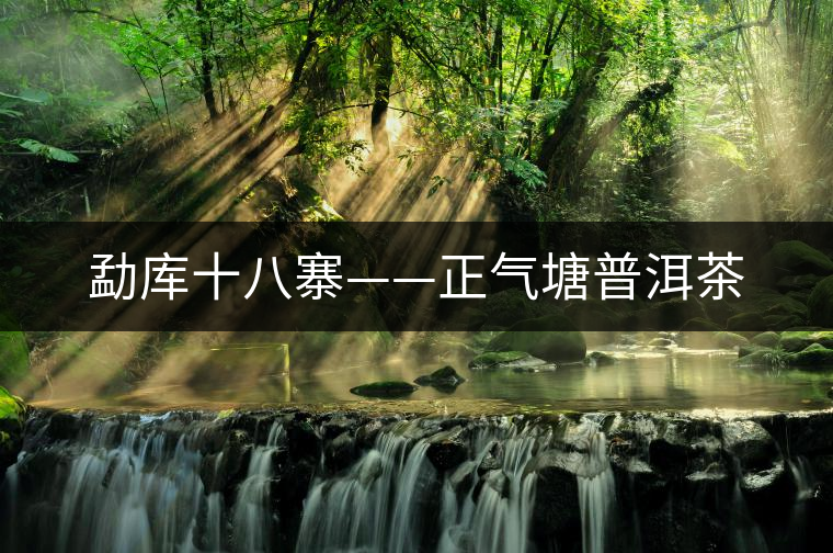 勐庫十八寨——正氣塘普洱茶 勐庫十八寨——正氣塘普洱茶