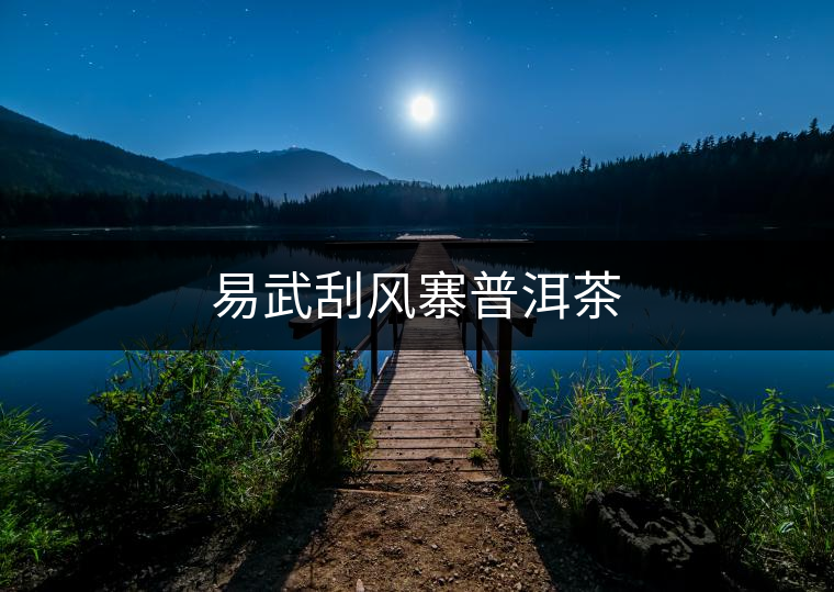 易武刮風(fēng)寨普洱茶 易武刮風(fēng)寨普洱茶