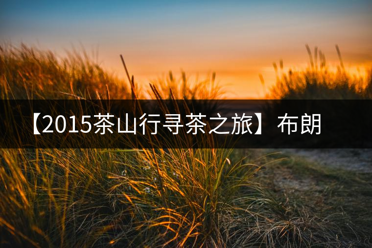 【2015茶山行尋茶之旅】布朗茶王之帕點 【2015茶山行尋茶之旅】布朗茶王之帕點