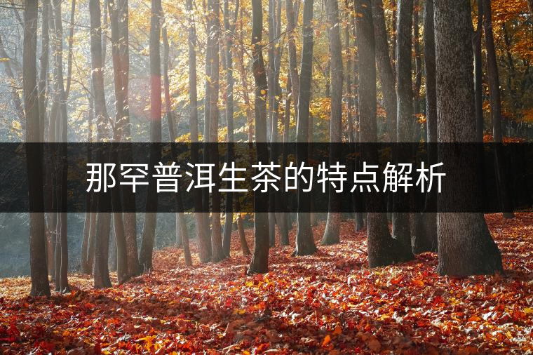那罕普洱生茶的特點(diǎn)解析 那罕普洱生茶的特點(diǎn)解析