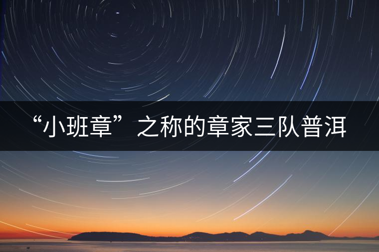 “小班章”之稱的章家三隊(duì)普洱茶