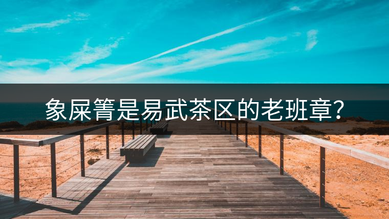 象屎箐是易武茶區(qū)的老班章？