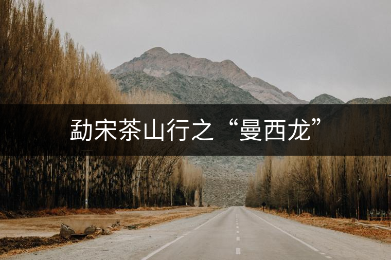 勐宋茶山行之“曼西龍” 勐宋茶山行之“曼西龍”
