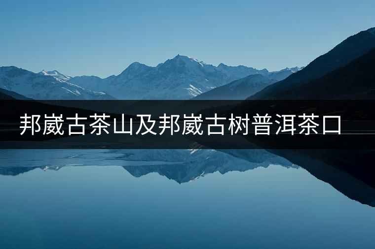 邦崴古茶山及邦崴古樹普洱茶口感特色