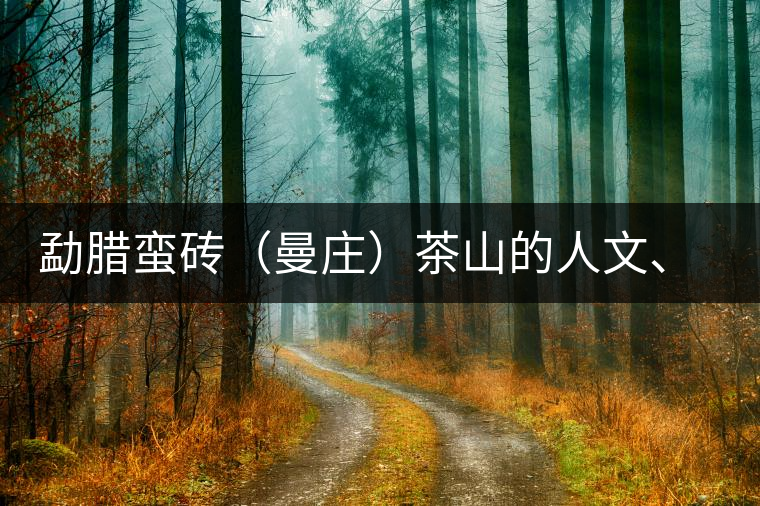 勐臘蠻磚（曼莊）茶山的人文、生態(tài)