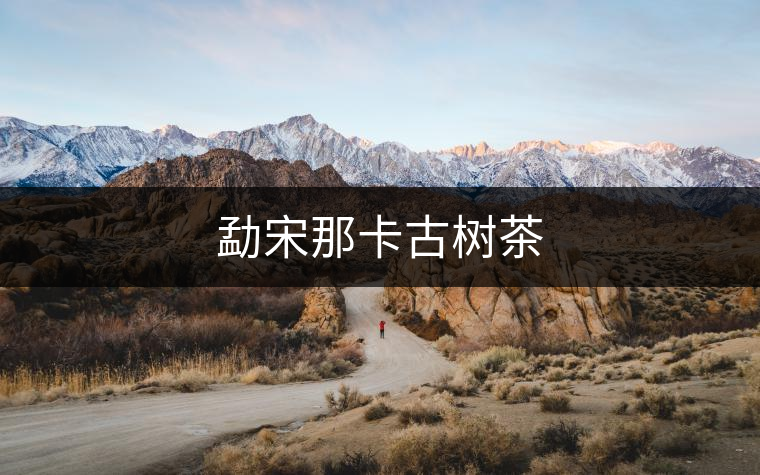 勐宋那卡古樹(shù)茶