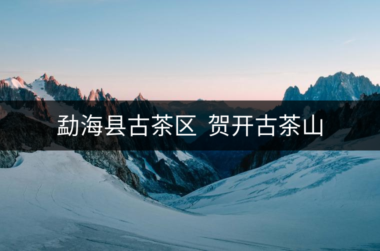 勐?？h古茶區(qū)  賀開古茶山