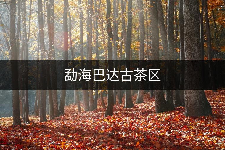 勐海巴達(dá)古茶區(qū) 勐海巴達(dá)古茶區(qū)