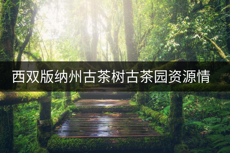 西雙版納州古茶樹古茶園資源情況 西雙版納州古茶樹古茶園資源情況