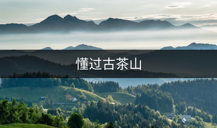 懂過(guò)古茶山 懂過(guò)古茶山