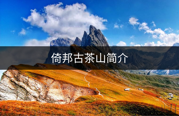 倚邦古茶山簡(jiǎn)介 倚邦古茶山簡(jiǎn)介