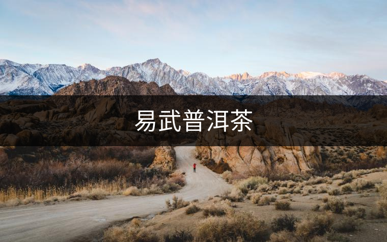 易武普洱茶 易武普洱茶