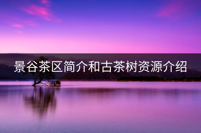 景谷茶區(qū)簡(jiǎn)介和古茶樹(shù)資源介紹