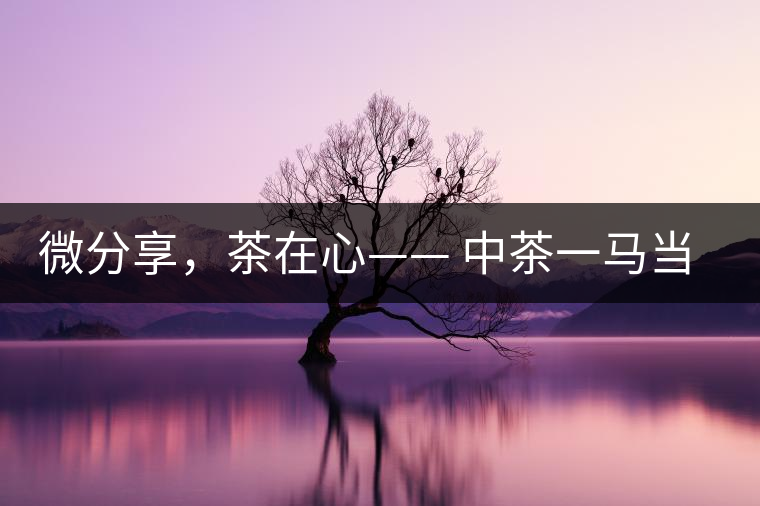 微分享，茶在心—— 中茶一馬當(dāng)先