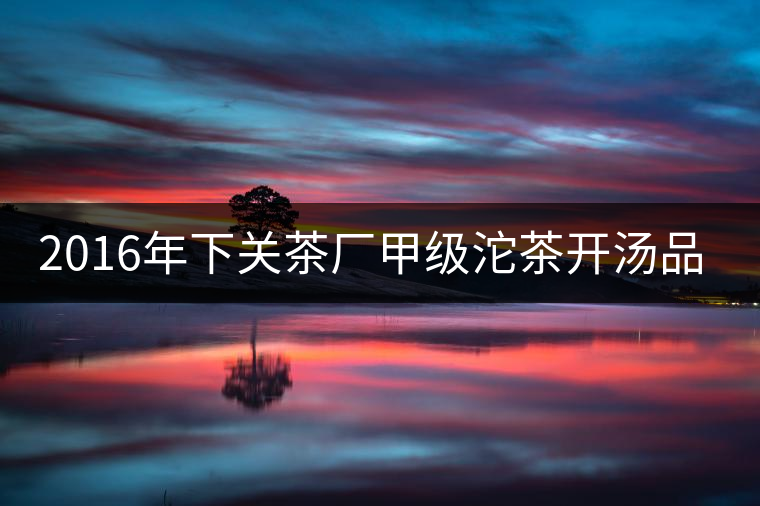 2016年下關茶廠甲級沱茶開湯品鑒