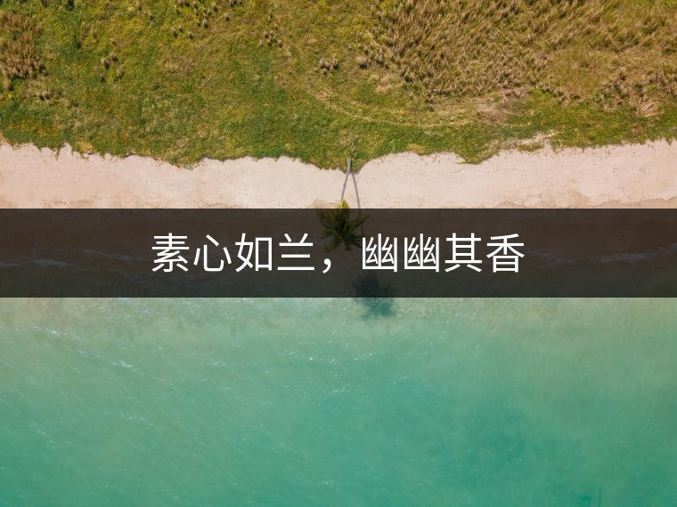 素心如蘭，幽幽其香