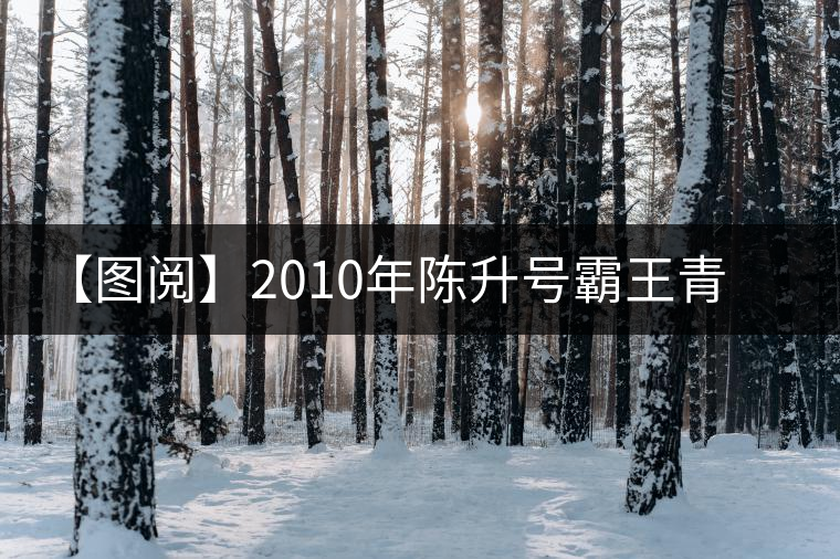 【圖閱】2010年陳升號霸王青餅開湯 【圖閱】2010年陳升號霸王青餅開湯