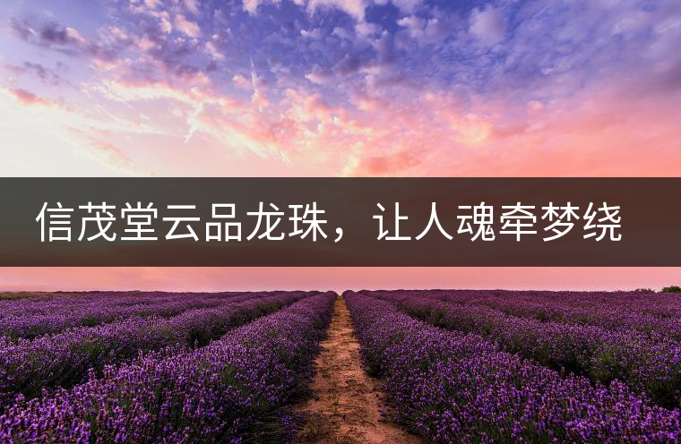 信茂堂云品龍珠，讓人魂牽夢繞的尤物